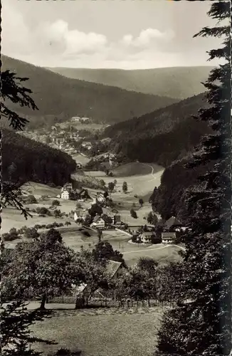Ansichtskarte Bad Herrenalb Blick ins Gaistal Panorama-Ansicht 1960
