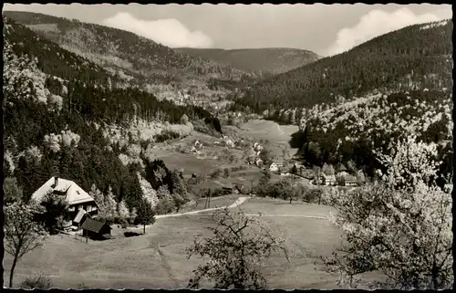 Ansichtskarte Bad Herrenalb Panorama Blick Gaistal Schwarzwald 1960