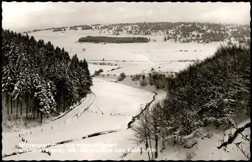 Usseln-Willingen (Upland) Panorama-Ansicht Blick zum Kahlen Pön 1963