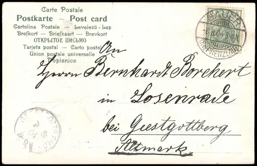 Glückwunsch / Grusskarte Brikeftaube - Veilchen-Ornament 1904 Prägekarte