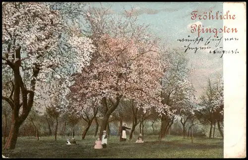 Ansichtskarte  Glückwunsch: Pfingsten - Baumblüte Familie 1904
