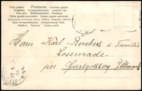 Ansichtskarte  Glückwunsch: Pfingsten - Baumblüte Familie 1904