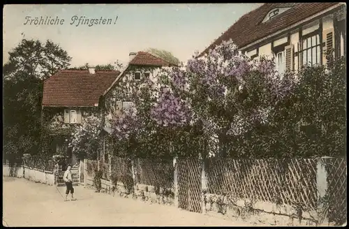 Ansichtskarte  Glückwunsch: Pfingsten, Dorfpartie 1908