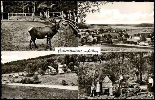 Ansichtskarte Eschershausen Miniaturenpark, Hirsch, Stadt 1963