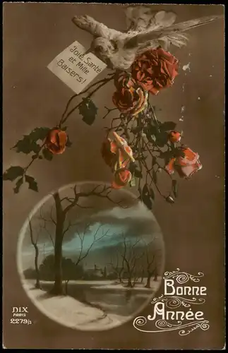 Neujahr/Sylvester Brieftaube, Rosen Landschaft France Fotokunst 1919