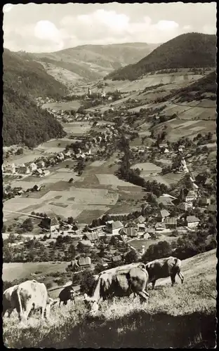 Münstertal/Schwarzwald Panorama-Ansicht von der Kuhweide aus 1963