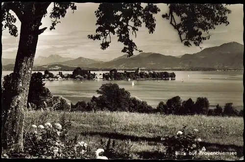 Ansichtskarte Chiemsee Blick auf Frauenchiemsee voin Gstadter Ufer 1955