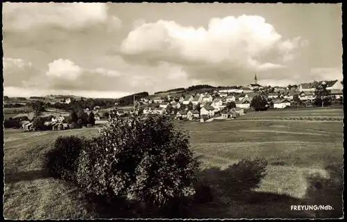 Ansichtskarte Freyung Partie an der Stadt 1959