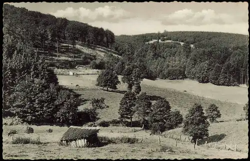 Ansichtskarte Neuhaus im Solling-Holzminden Im schönen Solling 1959