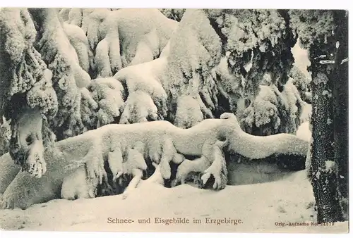 Ansichtskarte .Sachsen Schnee- und Eisgebilde im Erzgebirge 1910