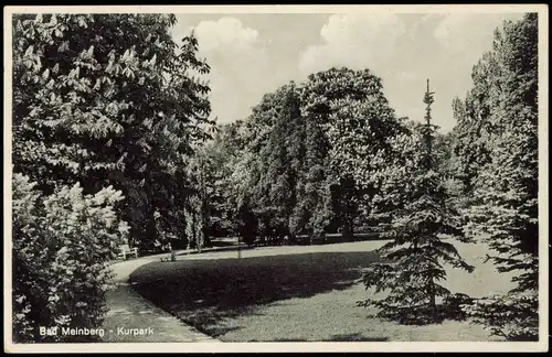 Horn-Bad Meinberg Kurpark 1949  gel. Sonderstempel - Notopfer Berlin