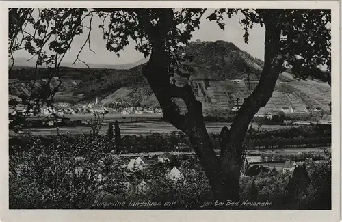 Ansichtskarte Bad Neuenahr-Ahrweiler Burg Ruine Landskrone Panorama 1930