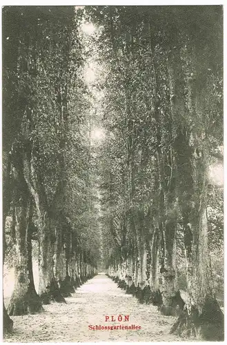 Ansichtskarte Plön Schlossgartenallee Umland-Ansicht 1910