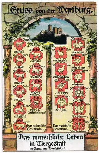 Eisenach Das menschliche Leben in Tiergestalt - Gang am Bankettsaal 1910