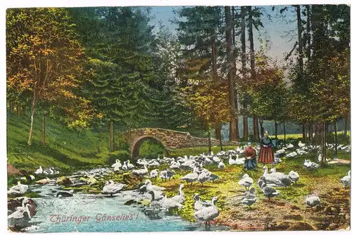 .Thüringen Thüringer Gänselies`l Serien-Karte Thüringerwald-Idylle 1910