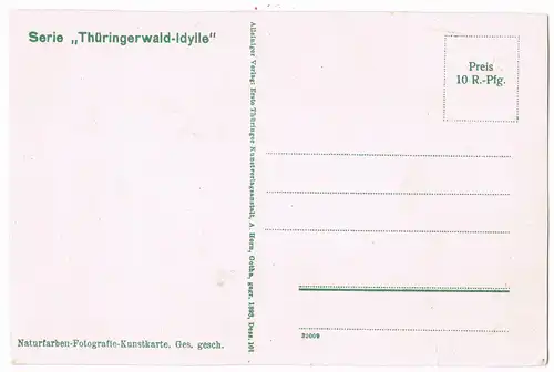 .Thüringen Thüringer Gänselies`l Serien-Karte Thüringerwald-Idylle 1910