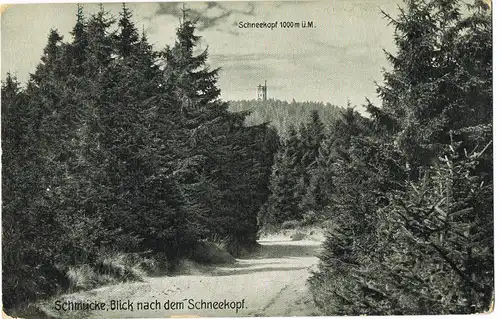 Gehlberg Blick zum Aussichtsturm Schneekopf 1916   gel Stempel GEHLBERG
