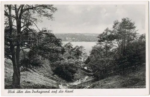 Ansichtskarte Grunewald-Berlin Partie am Dachsgrund 1932