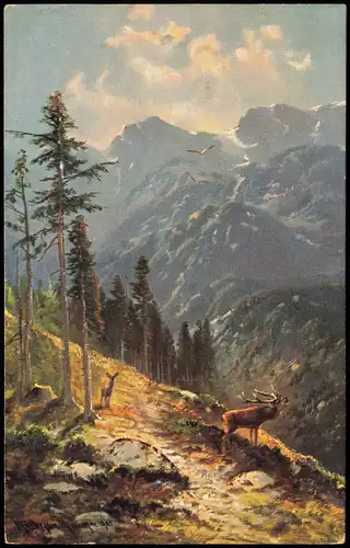 Signierte Künstlerkarte Stimmungsbild Natur Großwild in d. Bergen 1910