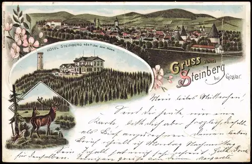 Ansichtskarte Litho AK Steinberg-Goslar Hotel, Stadt 1897