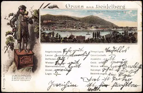 Ansichtskarte Litho AK Heidelberg Stadt und Schloß-Zwerg 1895