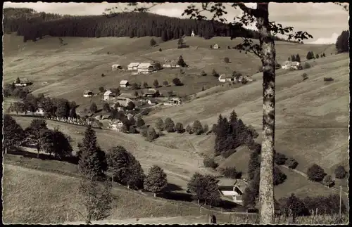 Ansichtskarte Todtnauberg Panorama-Ansicht Ort im Hochschwarzwald 1960