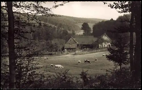 Zell im Odenwald-Bad König Odenwald-Idyll (Heusselsmühle) 1960