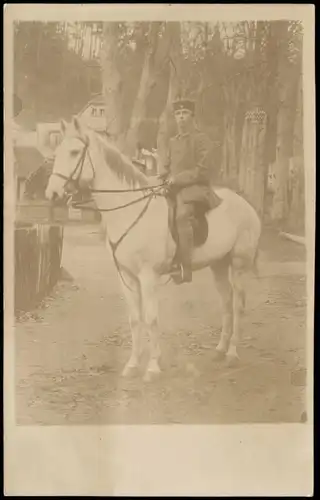 Militär Soldat zu Pferde (Foto-AK P. Köhne Pillnitz) 1915 Privatfoto