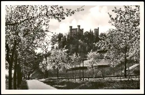 Ansichtskarte Offenburg Schloß Ortenberg im Kinzigtal im Frühling 1951