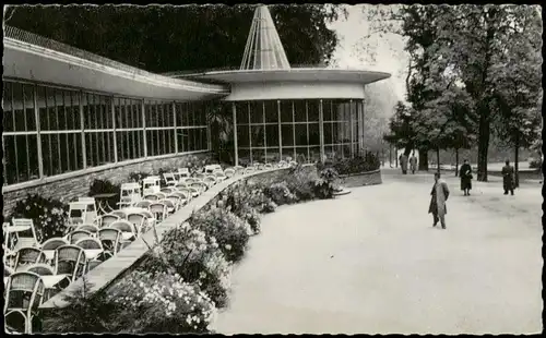 Ansichtskarte Bad Wildungen Partie im Kurgarten/Kurpark 1960