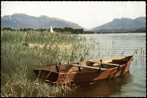 Ansichtskarte Chiemsee Chiemsee, Boot im Schilf - Colorfoto 1965