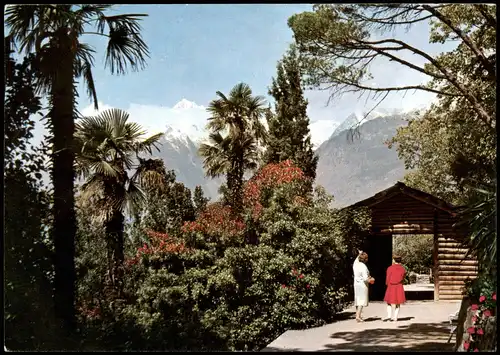 Cartoline Meran Merano Merano Passeggiata Tappeiner Panorama Blick 1967