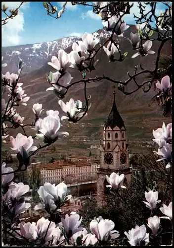 Cartoline Meran Merano Panorama-Ansicht im Frühling 1967