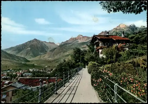 Cartoline Meran Merano Teilansicht mit Pension Mimosa Saxifraga 1964
