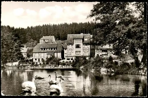 Neuhaus im Solling-Holzminden Schwäne, Häuser Partie am Teich 1960