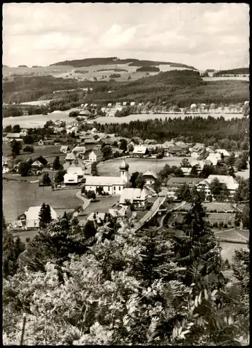 Ansichtskarte Hinterzarten Panorama-Ansicht Blick vom Scheibenfelsen 1960