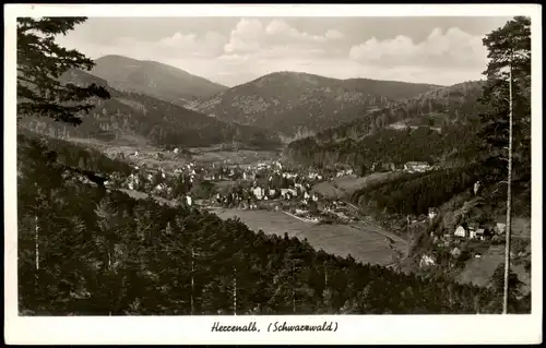 Ansichtskarte Bad Herrenalb Panorama-Ansicht, Schwarzwald 1954