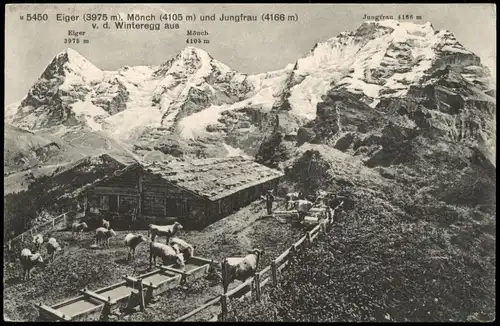 Lauterbrunnen Jungfrau (Berg), Eiger, Mönch, Schweizer Alpen 1910
