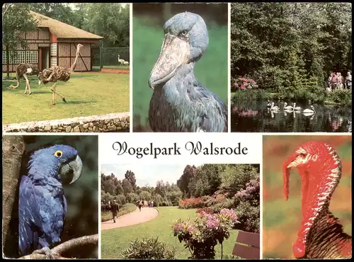 Walsrode Vogelpark Mehrbildkarte verschiedene Vögel, Birds Park 1979