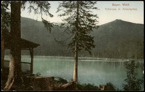 Ansichtskarte Bayerisch Eisenstein Arbersee m. Arberspitze. - Hütte 1913