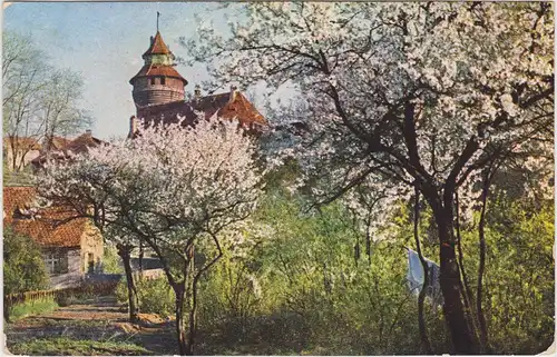 Ansichtskarte Nürnberg Sinwellturm auf der Kaiserburg Kirschbäumen 1917
