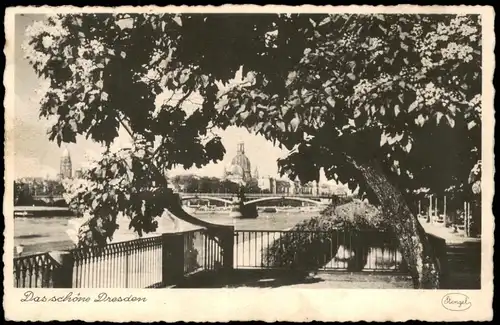 Ansichtskarte Dresden Panorama Elbe 1953   unfrankiert mit Nachgebühr-Stempel