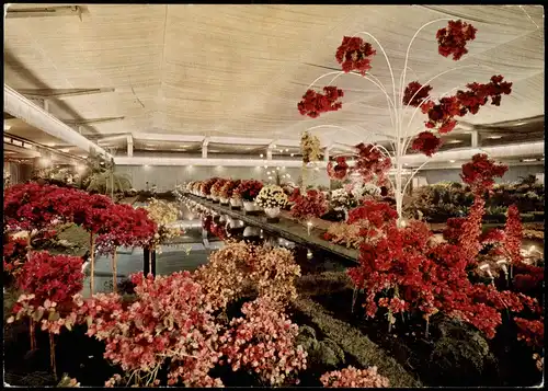 Hamburg Internationale Hallen-Blumenschau International Flower Exhibition 1963
