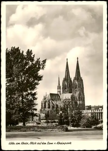 Ansichtskarte Köln Blick auf den Dom und Rheinpark 1950