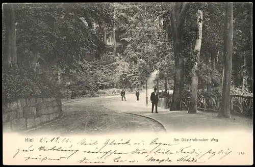 Ansichtskarte Düsternbrook-Kiel Düsternbrooker Weg - Wanderer 1906