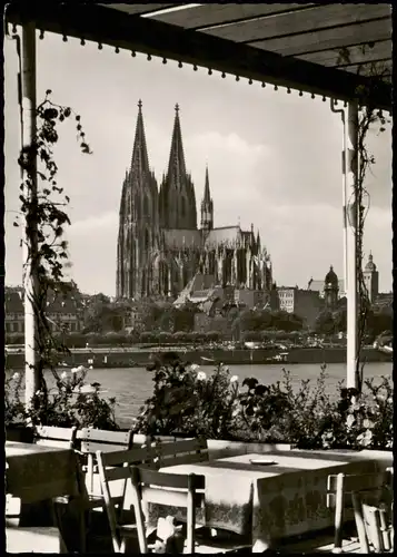Ansichtskarte Köln Kölner Dom Blick von Gartenlokal am Rhein aus 1960
