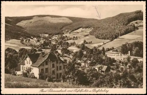 Bad Schwarzbach-Bad Flinsberg Świeradów-Zdrój Panorama mit Tafelfichte 1930