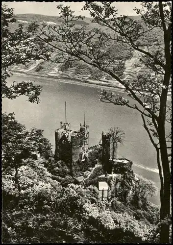 Ansichtskarte Bingen am Rhein Burg Rheinstein Rhein Panorama 1955