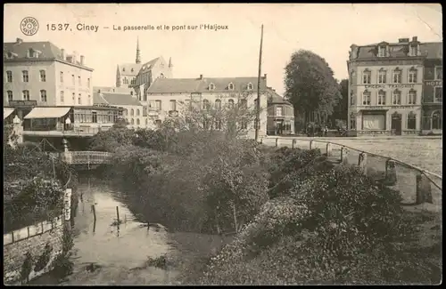 Postkaart Ciney Ciney La passerelle et le pont sur l'Haljoux 1910