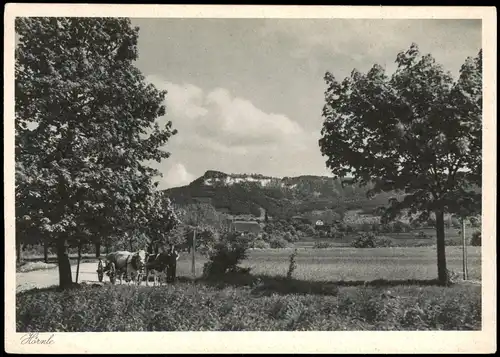 Ansichtskarte Bad Kohlgrub Hörnle - Fuhrwerk 1939